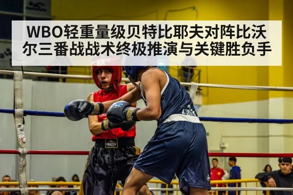 WBO轻重量级贝特比耶夫对阵比沃尔三番战战术终极推演与关键胜负手